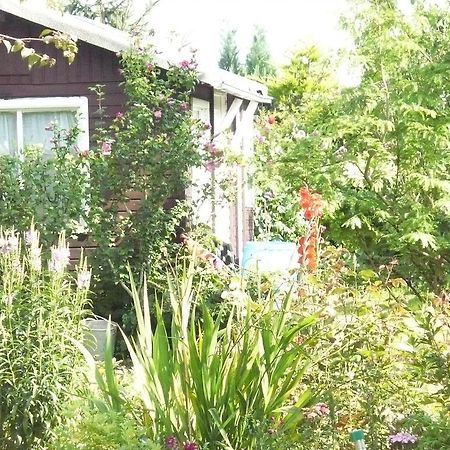 Apartmán Wohnen Bei Gabi Walkendorf Pokoj fotografie
